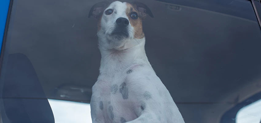 Car Lockout Solutions in Cornwall, Ontario